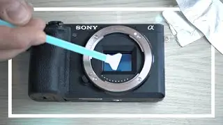 CAMERA SENSOR CLEAN | Sony a6500 APS-C Sensor Clean With SWABS | Sigma 18-35 f1.8 ART And MC-11 | 4K