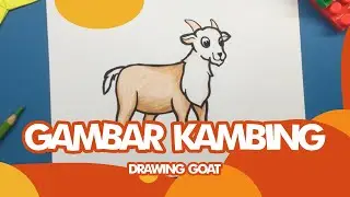 Gambar Kambing - Drawing Goat
