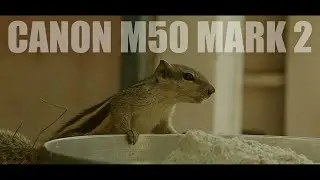 CANON M50 MARK 2 CINEMATIC VIDEO TEST 🔥