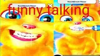 How do you brush?  funny talking funny cat takling game oral health,brushing teeth,oral hygiene