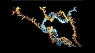 Computing Reliably with Molecular Walkers