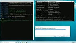 How to create a Nerva (XNV) Read only Wallet - Windows