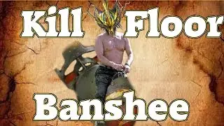 DPS Banshee Build - Kill Floor