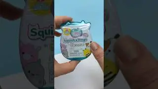Squish a longs blind box
