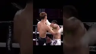 BRUTAL HIT  #martialarts #mma #mmafighter #street #topdog #combatsport #bareknucklefighter #topfight