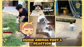 BINATANG GELUT ADALAH GENRE FAVORIT-KU || DEMIK ANIMAL REACTION (PART 6)