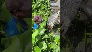 Strong fisherman Unbelievable Fisherman Skills 3