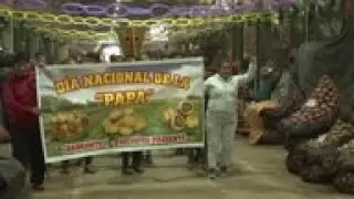 Hundreds flock to yearly potato festival in Peru