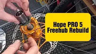 Hope Pro5 rear hub freehub body rebuild after strip & clean.