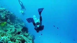 Plong&eacute;e, PMT  Nouvelle Cal 2017