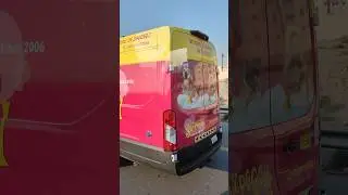 Animal Grooming 🇦🇪 #animals #dog #cat #grooming #animalclinic #uae #dubai #vlog #viral #trending