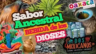 El mejor mezcal ancestral. San Pedro Totomachapam.