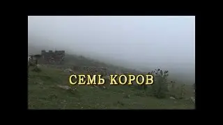 Фильм 