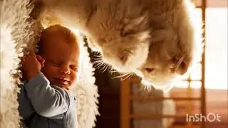 &ldquo;Loyal  Cat Brings Her Kitten to Sleep Beside the Baby &mdash; Pure Love ❤️ #cat&rdquo;