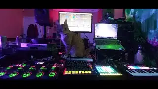 'Cuir Suas An Funk' -  Psychegaelic studio preview