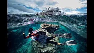 Dreamtime Dive & Snorkel | Short Clip | Discover Aboriginal Experiences | Tourism Australia