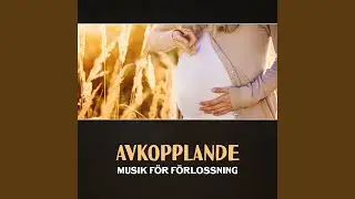 Ren lycka och framg&aring;ng
