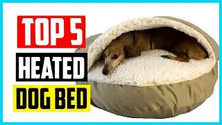 ✅ Best Heated Dog Beds 2024
