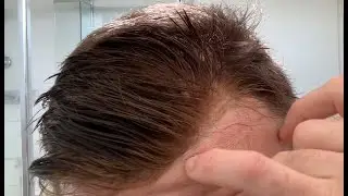 Video 201: Poly Day 7
