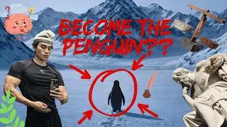 BE THE penguin philosophy crash course with Vinhanced