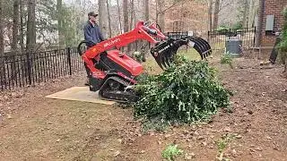 Transformed Landscape!