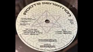 Limited Hand Cut Poly Dubplate-Roots Sensation-10