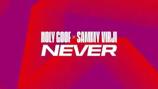 Holy Goof x Sammy Virji - Never (Official Audio)