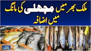 Fish Demand Rises Nationwide | Seafood Popularity Surges | Market Update - Aaj Pakistan News