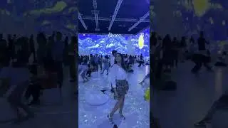 Van Gogh 360 in Delhi #vangogh #delhincr #starrynight #museum #vangoghalive #delhivlog #artwork