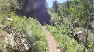 Lion Canyon trail