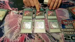 Yugioh True Draco Deck Profile 2017 Winter Cup