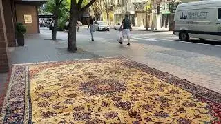 Rug Wash