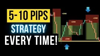 Simple 5 to 10 Pips TRADING Strategy to Grow Your Account (Made $240,000!!)