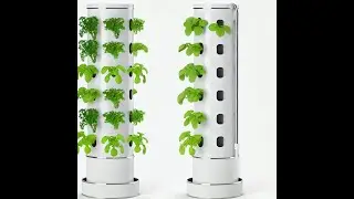 Tips To Transform Your Health with a Vertical Garden!