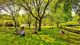 Toronto Walk - High Park