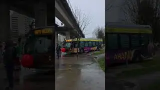 Прокатитесь по праздникам на санях с оленеводческим автобусом и Санта-поездом TransLink! 🚌🎄🎅 #Авт...