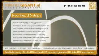 Neonflex LED Strips | Profielgigant.nl | 2023