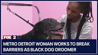 Metro Detroit woman works to break barriers as Black dog groomer
