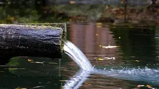 🌿 Deep Nature Sounds for Relaxing Mind | Stress Relief | Meditation | Study  |calm | Nature