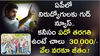 AP Unemployed Job Mela | 10th Pass to PG Jobs | Salary Upto ₹30,000 | Apply on Nov 29 | AP Govt Jobs