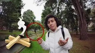 EL PODER MAGICO DEL PALO SANTO