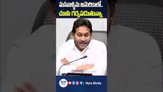 మనవాళ్ళను అమెరికాలో చూసి గర్వపడుతున్నా #nata #cmjagan #america #nri #andhrapradesh #indianamerican