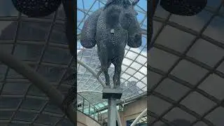 Trinity Shopping Centre Leeds#trintycentreleeds#shorts#shortsfeed #desicookingsecretsuk