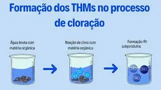 Forma&ccedil;&atilde;o de THMs no processo de clora&ccedil;&atilde;o