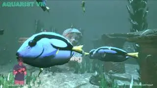 1st Time Setting up a Saltwater Tank in VR in AQUARIST VR Live!