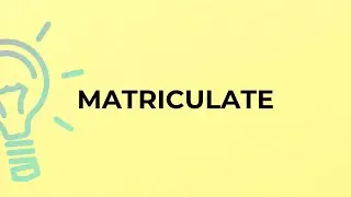 What is the meaning of the word MATRICULATE?