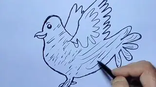 How to draw sparrow step by step 