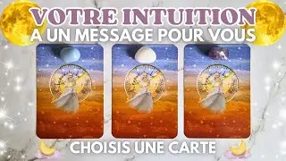 🌙 CE QUE VOTRE INTUITION ESSAIE DE VOUS DIRE 🌙 | TIRAGE AU CHOIX | GUIDANCE INTEMPORELLE