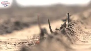 Goossens Flevoplant - compilation video 1