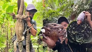 Rare Arunachal Monitor Lizard Found Dead ||Jungle Foraging Vlog. 